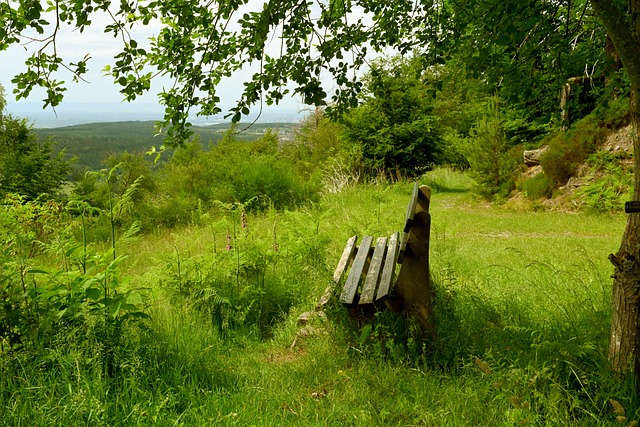 些迷茫陷入 些迷茫陷入