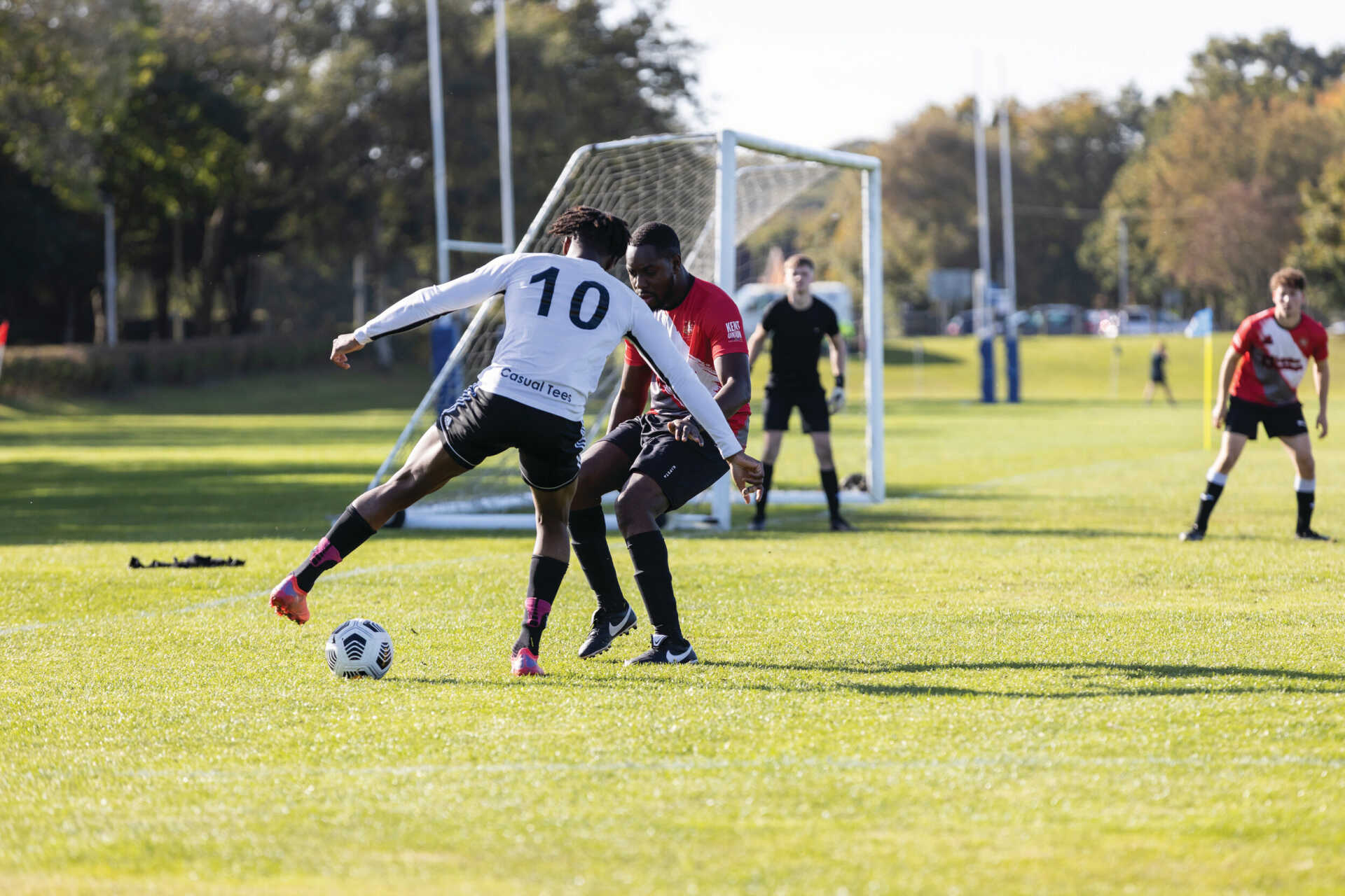 我们将探讨 我们将探讨