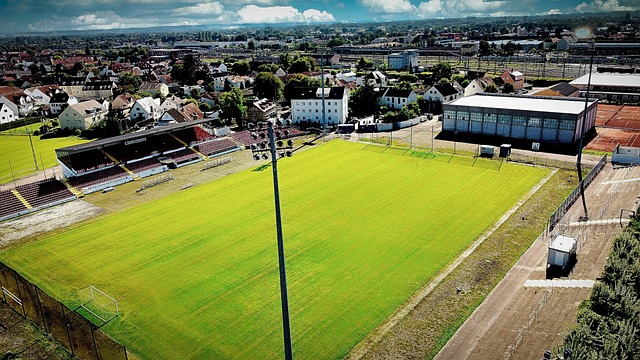 员需要更多 员需要更多